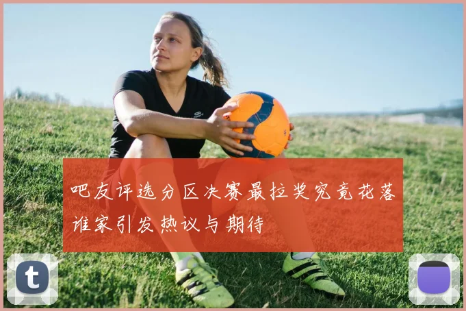 吧友评选分区决赛最拉奖究竟花落谁家引发热议与期待