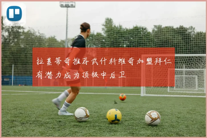 拉基蒂奇推荐武什科维奇加盟拜仁有潜力成为顶级中后卫